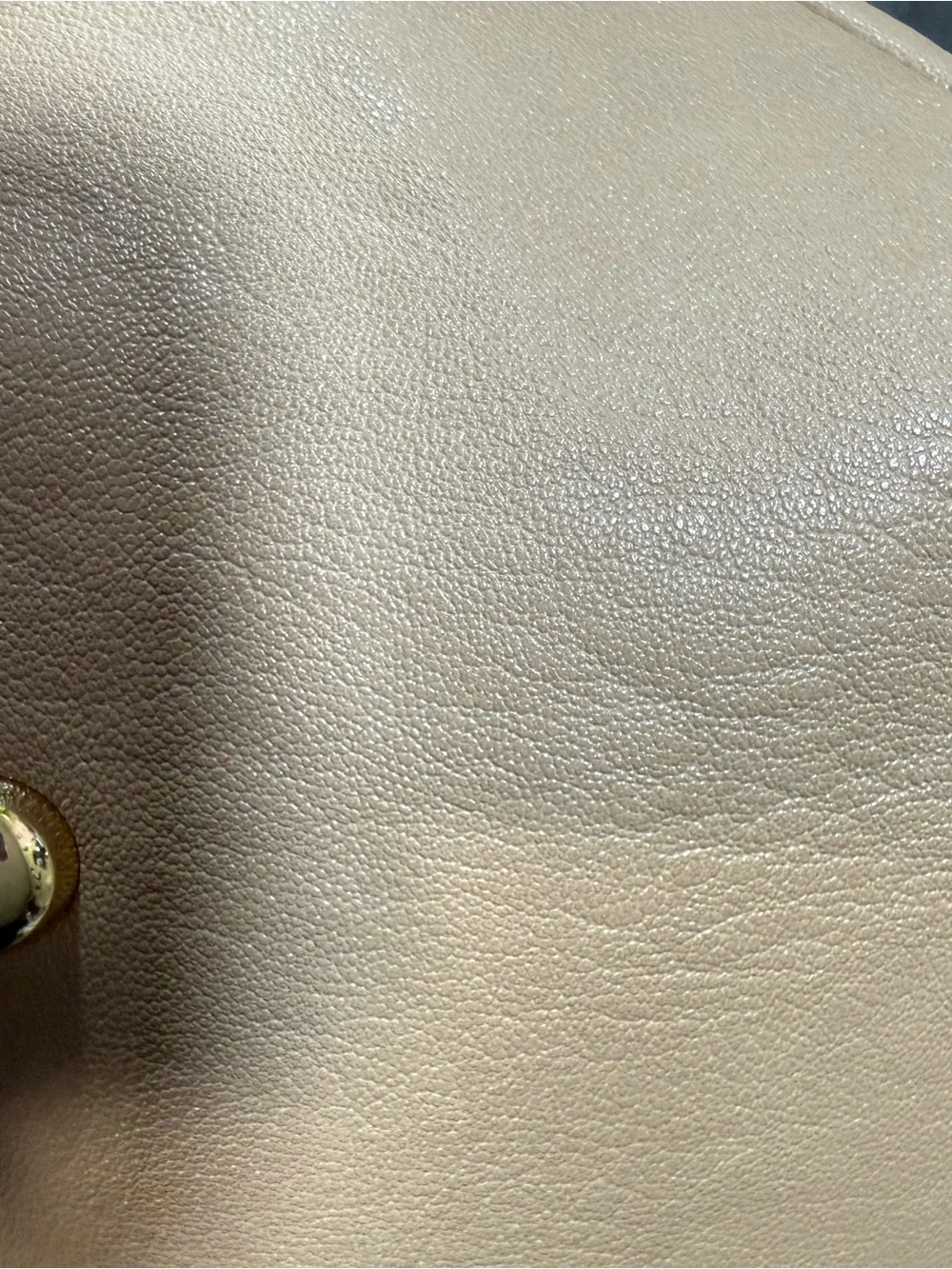Juicy Couture Royal Crest Beige large Hobo Bag with Gold Chain